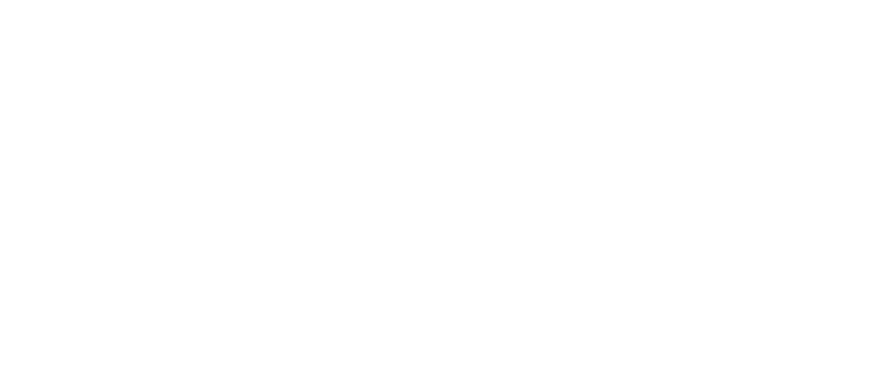 TEAM Service Provider Logo